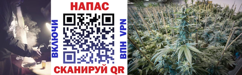 БУТИРАТ Полярные Зори
