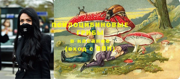 дживик Алзамай