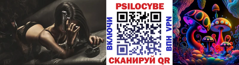 KRAKEN рабочий сайт  Полярные Зори  Галлюциногенные грибы Psilocybe 